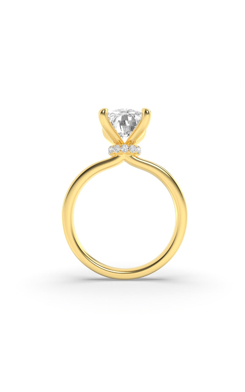 3.25CTW Elongated Cushion Shaped Lab Grown Diamond (F/VS) Hidden Halo Plain Shank Engagement Ring in 14K Gold