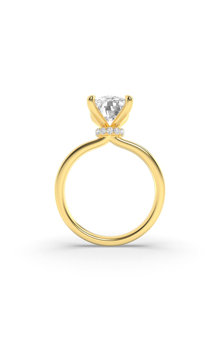 3.25CTW Elongated Cushion Shaped Lab Grown Diamond (F/VS) Hidden Halo Plain Shank Engagement Ring in 14K Gold