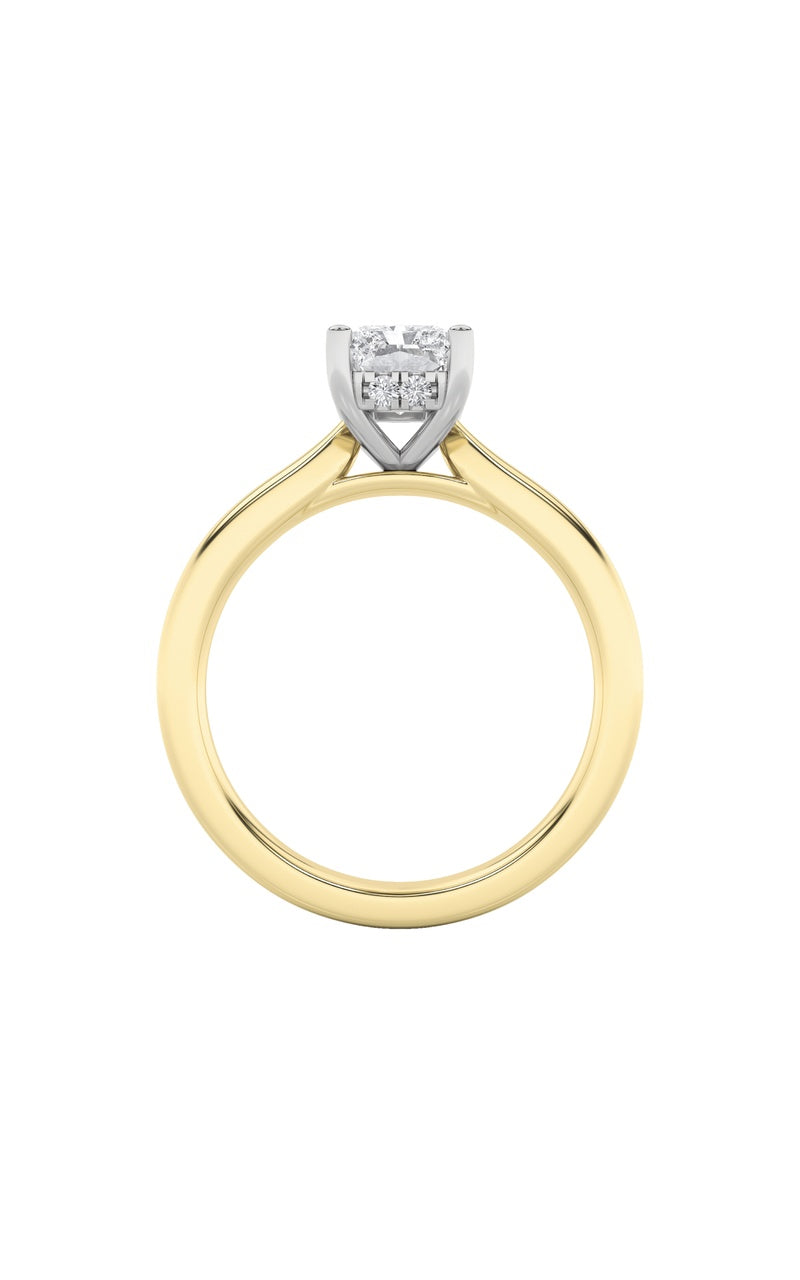 3Cttw Radiant Shaped Lab Grown Diamond (F/VVS) Hidden Halo Cathedral Shank Engagement Ring in 14K Gold